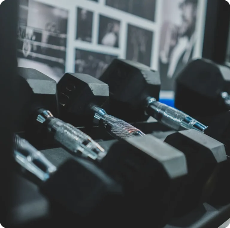 Close-up of hex dumbbells arranged on a rack in a gym